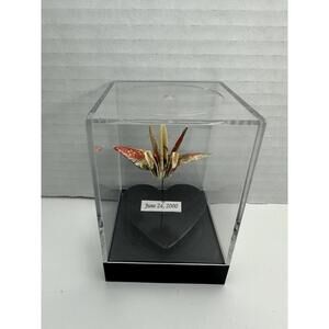 Vintage Japanese Miniature Origami Patterned Washi Paper Crane with Display Box